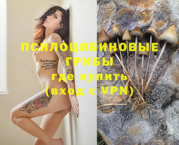 марихуана Белокуриха