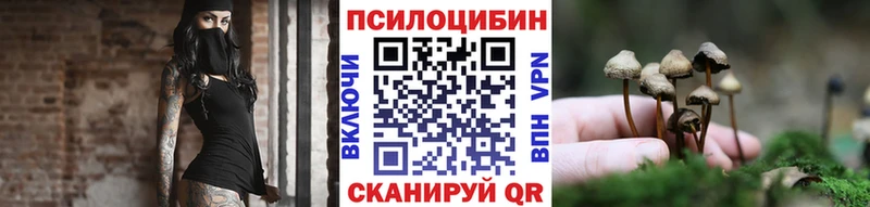 Псилоцибиновые грибы GOLDEN TEACHER Купить Высоковск